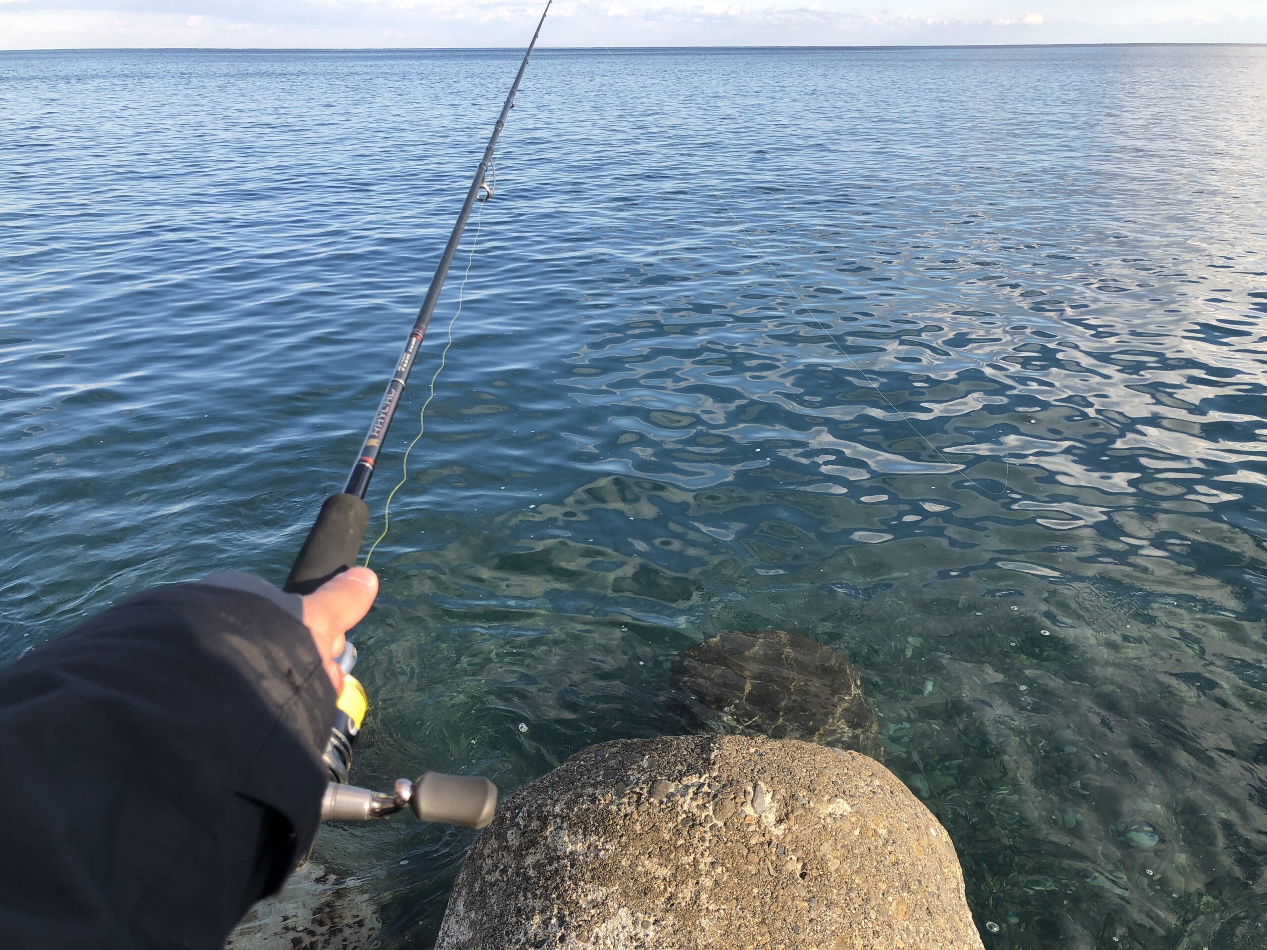 最初の1本にちょうどいいエギングロッド3選